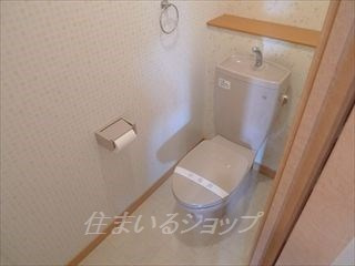 広島市安佐北区真亀５丁目のテラスのトイレ|１階のトイレ（２階にもあり）