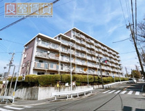 平池住宅の画像