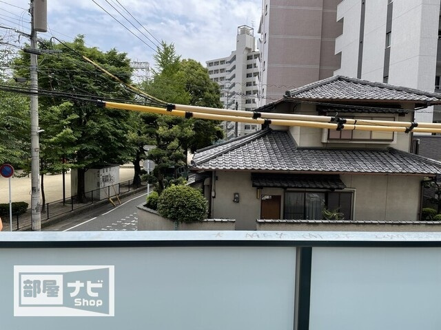【展望】 | アルファレガロ大橋