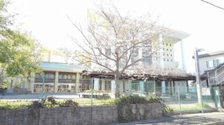 【周辺】 | 大在西小学校まで1400m