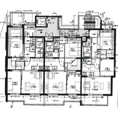 【間取り】 | マルーン白壁