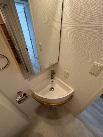 セレニテ難波プリエの洗面所