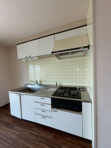 ダンディライオン住吉川のキッチン