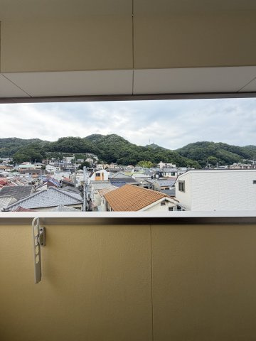 フェンネル湊山の展望