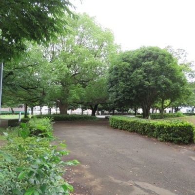 【周辺】 | メゾンエクレーレニュー昭島 | 北文化公園目の前