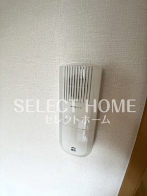  | アヴェニール