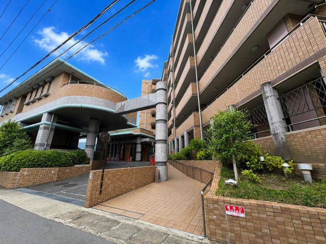 クレステージ桃山　天然木フルリノベーション