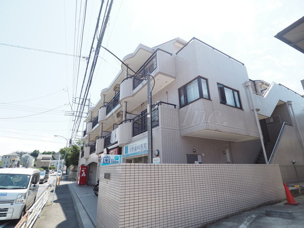 アムールフジの展望