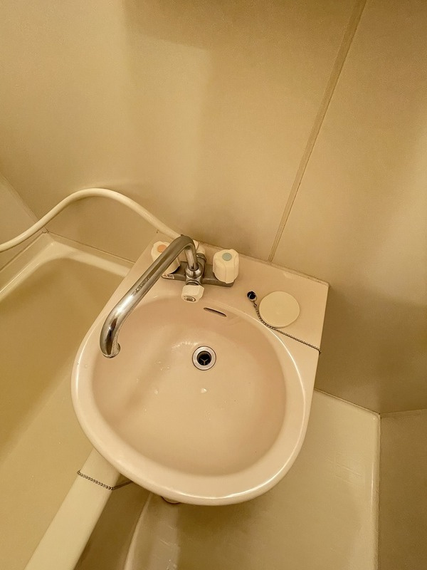 ラフィーネ本郷の洗面所|51440094_11.jpg