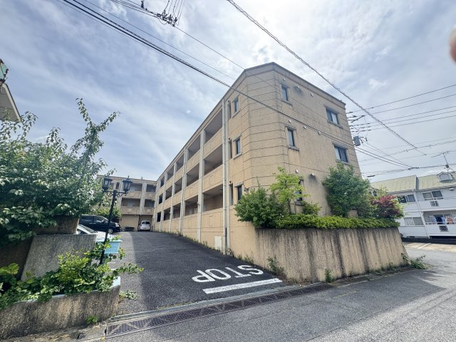 GALLERY　El-doradoのその他