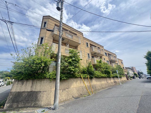 GALLERY　El-doradoのその他