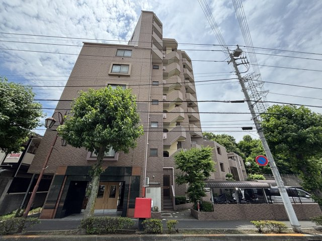 の-の画像