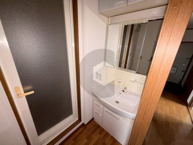 ソレイユ俊徳道の洗面所