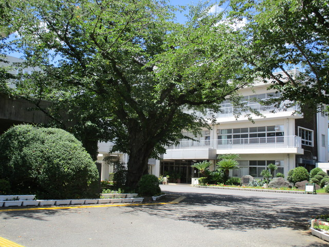 Ｇｒｅｅｎ　Ｈｅｉｇｈｔｓ　グリーンハイツのその他|成田市立成田小学校