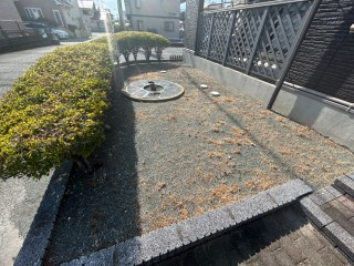サニーホームズ宮ノ陣B棟の庭