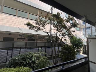 【展望】 | パルティーダ