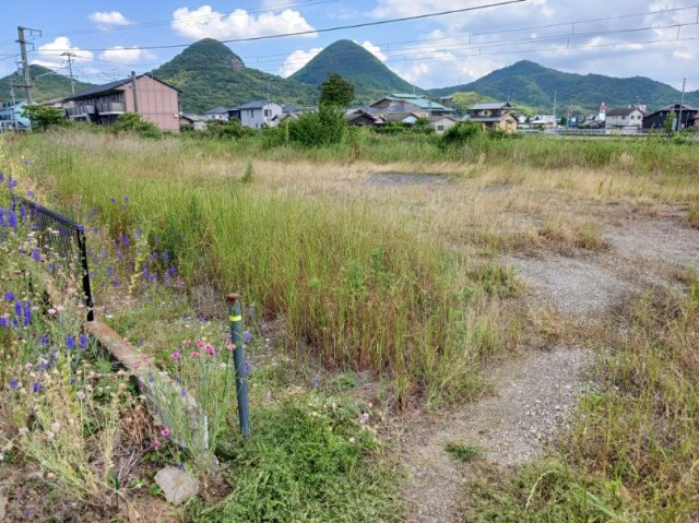 【土地図】