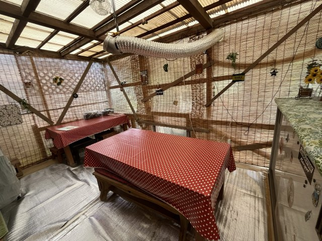 山あいの串間市大平　敷地面積300坪以上　建物が2棟ある物件ですのその他|ご友人を集めてバーベキューが出来るスペースもあります