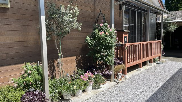 山あいの串間市大平　敷地面積300坪以上　建物が2棟ある物件です|軒先にも色とりどりの花が飾られています
