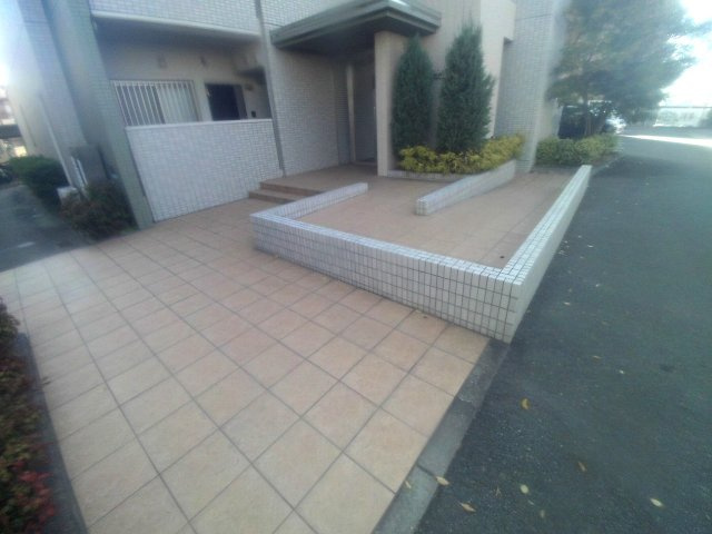 ハウオリハレのその他