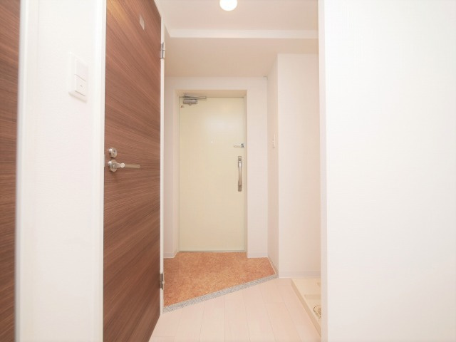 Luxe難波西Ⅰの玄関