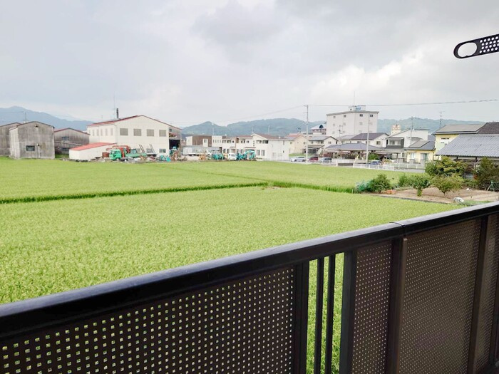 コンフォートＮの展望