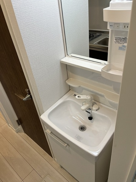 プレミエール柴又の洗面所