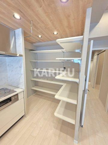 ブエナビスタ阿波座タワーの収納