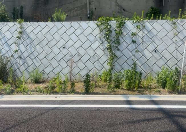 【外観】 | 物件の詳細については、現地を見てわかること以外に、役所や法務局などで調べないとわからないことがあります。そのため、現地に行く場合は、もしこの物件を買ったらどのような生活ができるかをイメージしましょう。