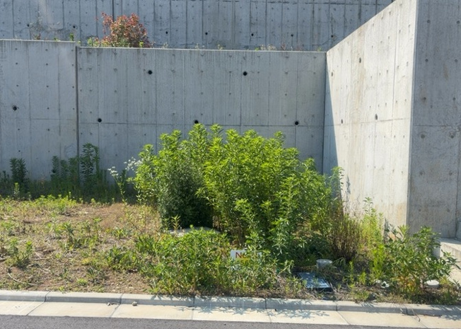 【外観】 | 家を建てる前提で土地を探している場合、地盤の丈夫さは譲れない条件の一つです。地盤が脆弱だと追加工事が必要となります。また、過去に地盤沈下や液状化現象を起こした土地は、できるだけ避けた方がいいでしょう。