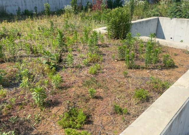 【外観】 | 土地探しをしていると都市計画区域という言葉を目にすると思います。法律によって、都道府県知事や国土交通大臣が指定するエリアのことを指しており、都市計画区域は市街化区域と市街化調整区域に分けられています。