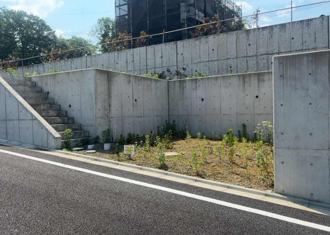 【前面道路含む現地写真】 | ハザードマップは自然災害による被害を予測し、その被害範囲を地図上で表したものです。近年特に災害が多くなっていますので、事前に調査すると安心できます。ハザードマップは国交省のホームページをご覧ください。
