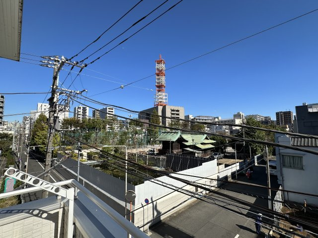 ルピナス清川の展望