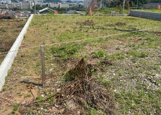 【外観】 | 人が暮らすうえで日光は大切な要素となります。日当たりの良さは譲れないポイントですね。併せて近くに大きな建築物の建築予定がないか、あるいはそれが可能な土地が近くにないか事前に確認することもお勧めします。