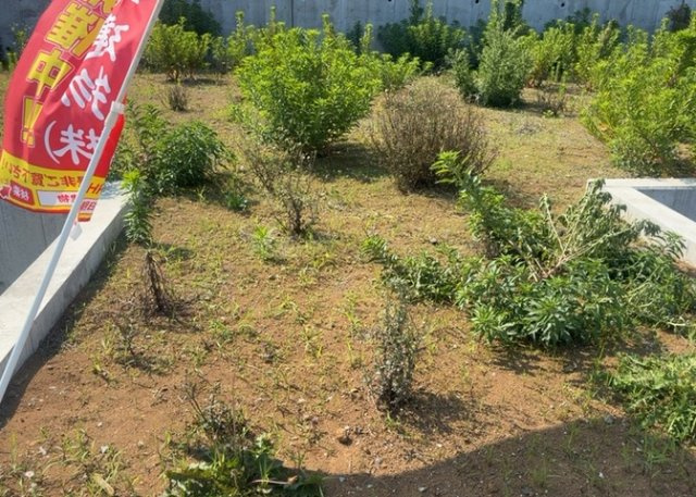【外観】 | 土地を買う際、住む地域の自治体や福祉の補助制度にも注目してみましょう。子供や老人の医療補助やゴミ出しのルールなど、自治体によってルールに大きな違いがあるため、暮らしやすい土地で判断するとよいでしょう。