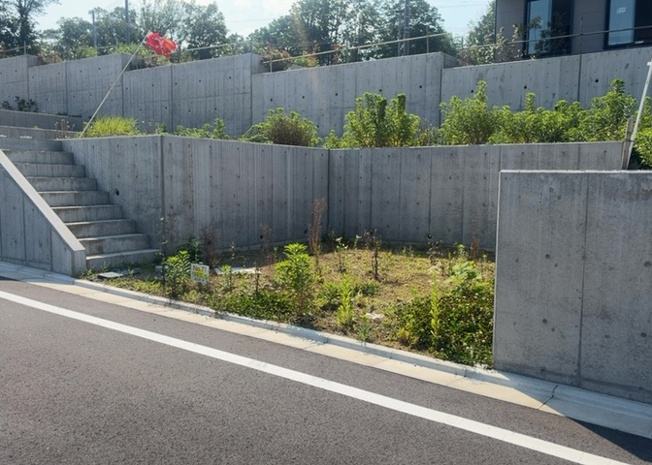【外観】 | 現地に行くなら、物件の周囲の地形がどうなっているかを見ることも大切です。周辺より低くなっている土地では、大雨などで水が集まりやすいため、地盤が弱くなっているということも考えられるため、注意が必要です。