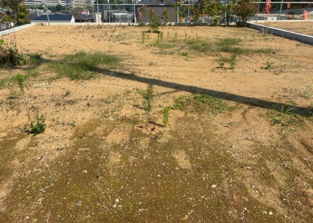 【外観】 | 人が暮らすうえで日光は大切な要素となります。日当たりの良さは譲れないポイントですね。併せて近くに大きな建築物の建築予定がないか、あるいはそれが可能な土地が近くにないか事前に確認することもお勧めします。