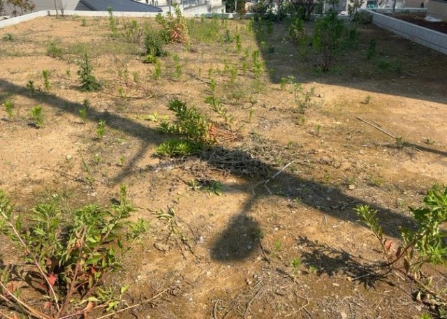 【外観】 | 家を建てる前提で土地を探している場合、地盤の丈夫さは譲れない条件の一つです。地盤が脆弱だと追加工事が必要となります。また、過去に地盤沈下や液状化現象を起こした土地は、できるだけ避けた方がいいでしょう。