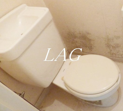 【トイレ】 | カナディアンハイツヤマサキ | トイレです。