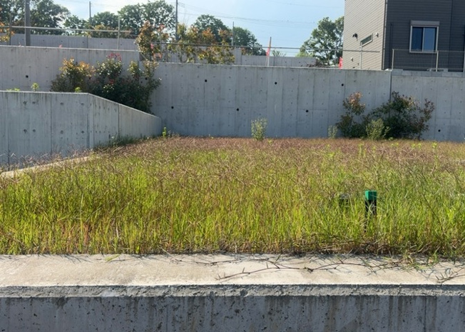 【外観】 | 土地を買う際、住む地域の自治体や福祉の補助制度にも注目してみましょう。子供や老人の医療補助やゴミ出しのルールなど、自治体によってルールに大きな違いがあるため、暮らしやすい土地で判断するとよいでしょう。