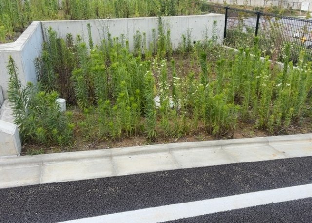 【外観】 | 土地購入を検討されている場合、境界杭がない状態で購入してしまうと境界確定測量をする必要があり、費用がかかります。購入の前に、売主、隣土地所有者立ち合いのもと境界を確定し境界杭を設置するのがベストです。