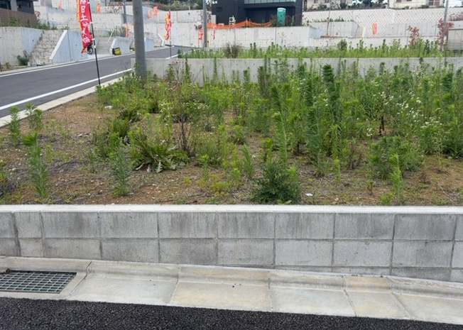 【外観】 | 家を建てる前提で土地を探している場合、地盤の丈夫さは譲れない条件の一つです。地盤が脆弱だと追加工事が必要となります。また、過去に地盤沈下や液状化現象を起こした土地は、できるだけ避けた方がいいでしょう。