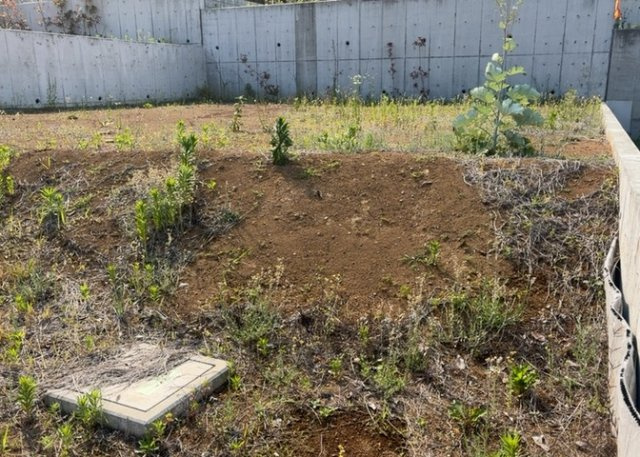 【外観】 | 土地を買う際、住む地域の自治体や福祉の補助制度にも注目してみましょう。子供や老人の医療補助やゴミ出しのルールなど、自治体によってルールに大きな違いがあるため、暮らしやすい土地で判断するとよいでしょう。