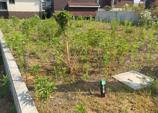 【外観】 | 家を建てる場合、方位は要チェックです。現実的に日当たりのよい家ならばリビングは南側、建築基準法でも北側に当たる家への配慮は求められています。土地を見学に行く際は、方位磁針を持って行くようにしましょう。