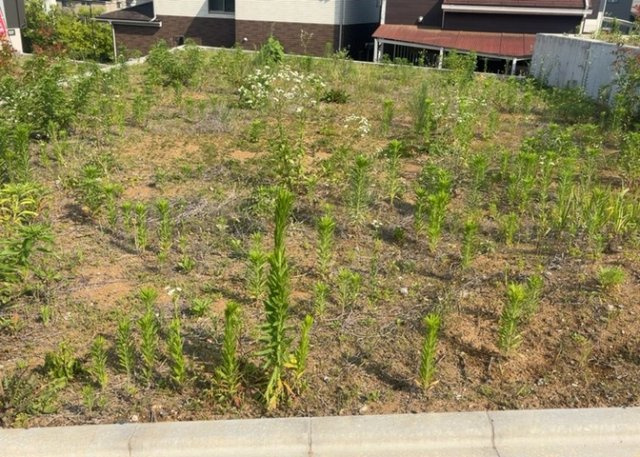 【外観】 | 家を建てる前提で土地を探している場合、地盤の丈夫さは譲れない条件の一つです。地盤が脆弱だと追加工事が必要となります。また、過去に地盤沈下や液状化現象を起こした土地は、できるだけ避けた方がいいでしょう。