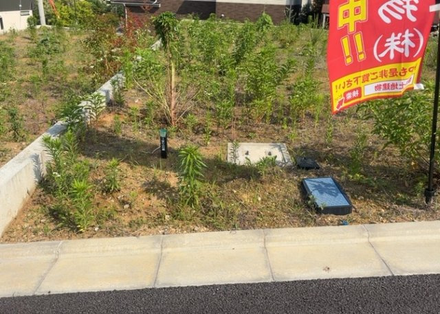 【外観】 | 人が暮らすうえで日光は大切な要素となります。日当たりの良さは譲れないポイントですね。併せて近くに大きな建築物の建築予定がないか、あるいはそれが可能な土地が近くにないか事前に確認することもお勧めします。