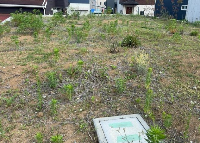 【外観】 | 土地探しをしていると都市計画区域という言葉を目にすると思います。法律によって、都道府県知事や国土交通大臣が指定するエリアのことを指しており、都市計画区域は市街化区域と市街化調整区域に分けられています。