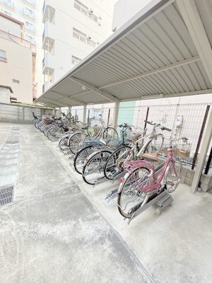  | ステラ北進