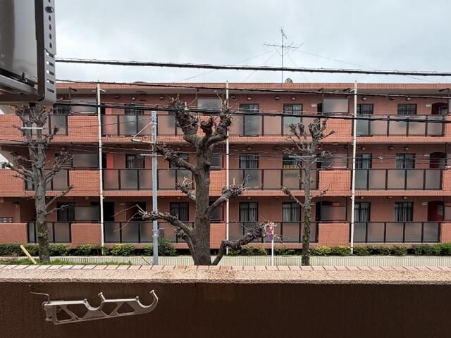 Ｔ’ｓ　ｇａｒｄｅｎ都立大学Ⅱの展望