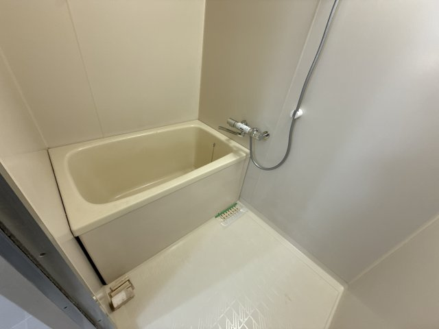 キャッスルコート安室の浴室
